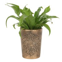 Home Decor - Outdoors/Garden
